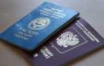 Есть ли в России штраф за двойное гражданство