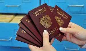 Справка о ранее выданных паспортах: как и где можно получить