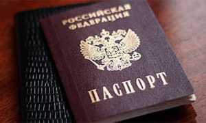 Какие страницы содержит российский паспорт от самой первой страницы разворота до последней, как выглядит