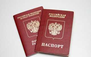 Как правильно собрать документы на российский паспорт