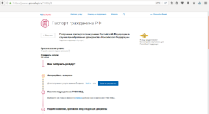 Проверка паспорта гражданина РФ на портале Госуслуги: возможные проблемы и что делать если не прошел