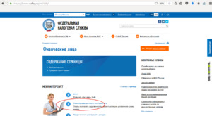 Как гражданин РФ может узнать задолженность по налогам по своим паспортным данным