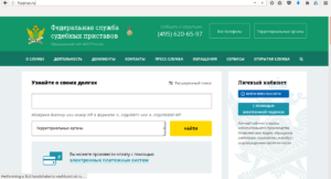 Как гражданин РФ может узнать задолженность по налогам по своим паспортным данным