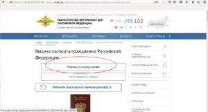 Как произвести замену паспорта гражданину РФ в 20 лет