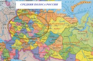 Куда лучше всего переехать жить в Россию на ПМЖ